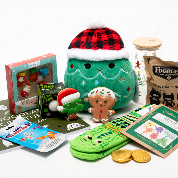 Big Christmas Bundle Age 8-10